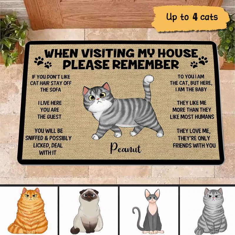 Please Remember When Visiting Cats House Personalized Doormat